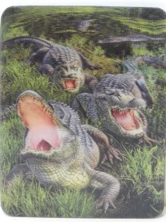 Obrázek z Magnet 3D 7x9cm - krokodýli (25) 